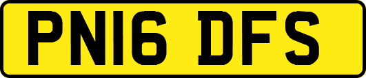 PN16DFS