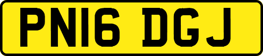 PN16DGJ