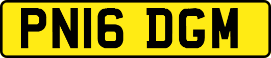 PN16DGM