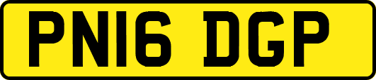 PN16DGP