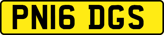 PN16DGS