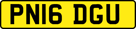 PN16DGU