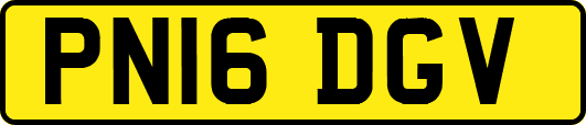 PN16DGV