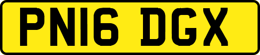 PN16DGX