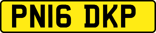 PN16DKP