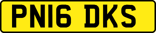 PN16DKS