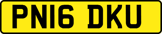 PN16DKU