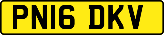 PN16DKV