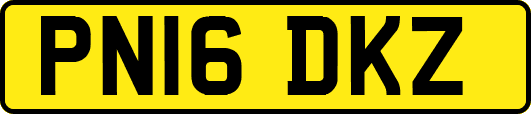 PN16DKZ