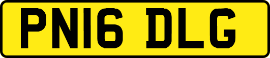 PN16DLG