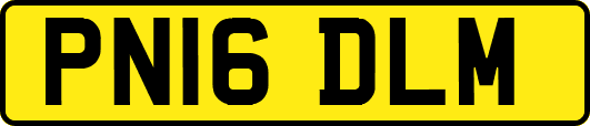 PN16DLM