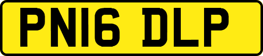PN16DLP
