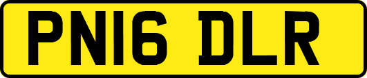 PN16DLR