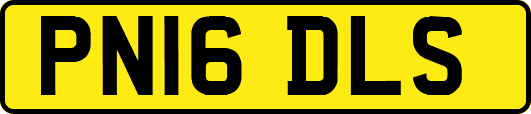 PN16DLS
