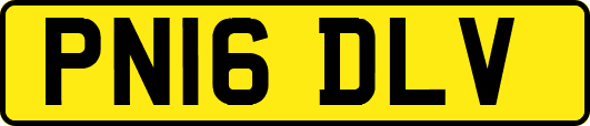 PN16DLV