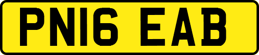 PN16EAB