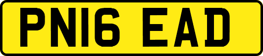 PN16EAD