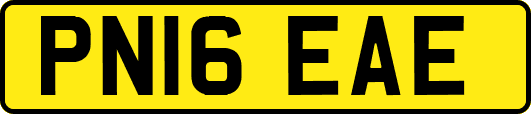 PN16EAE