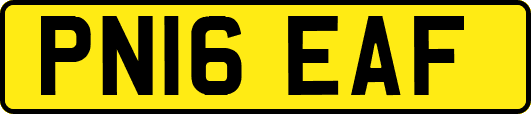PN16EAF