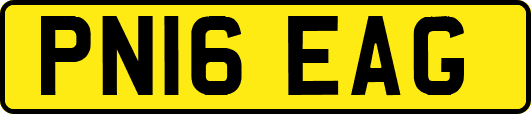 PN16EAG