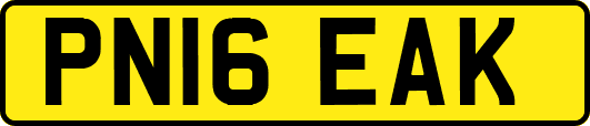 PN16EAK
