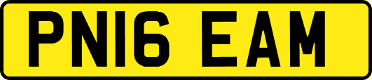 PN16EAM