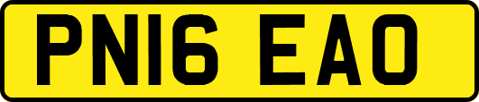 PN16EAO