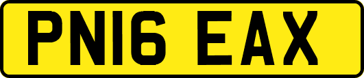 PN16EAX