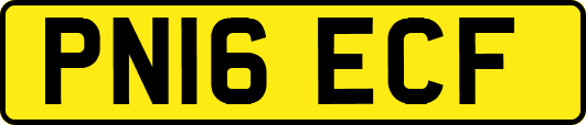 PN16ECF