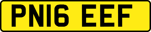 PN16EEF