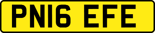 PN16EFE