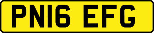 PN16EFG