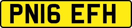 PN16EFH