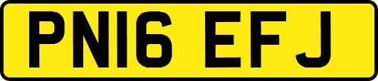 PN16EFJ