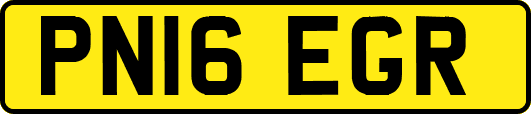 PN16EGR