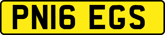 PN16EGS