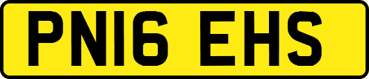PN16EHS