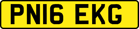 PN16EKG