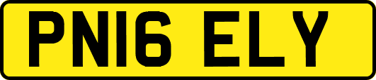 PN16ELY