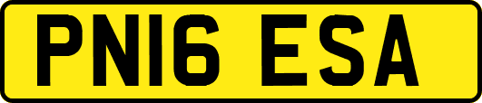 PN16ESA