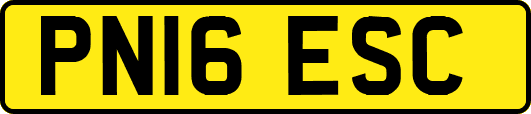 PN16ESC