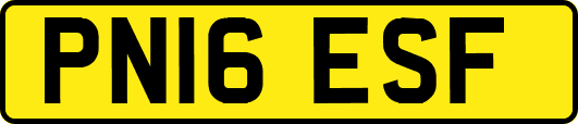 PN16ESF