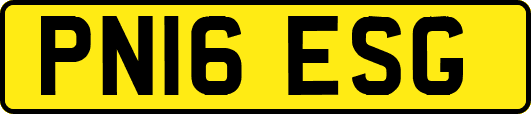 PN16ESG