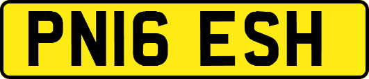 PN16ESH
