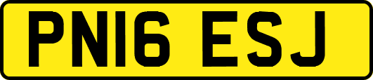 PN16ESJ