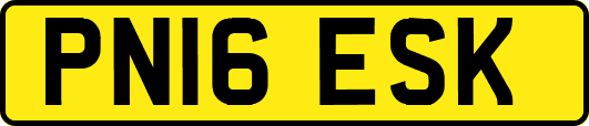 PN16ESK