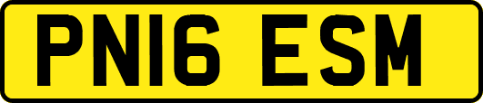 PN16ESM