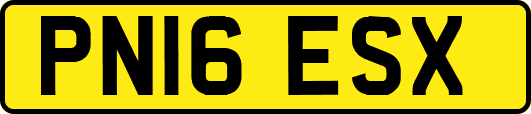 PN16ESX
