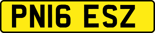 PN16ESZ
