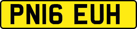 PN16EUH